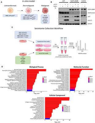 Characterizing the secretome of EGFR mutant lung adenocarcinoma